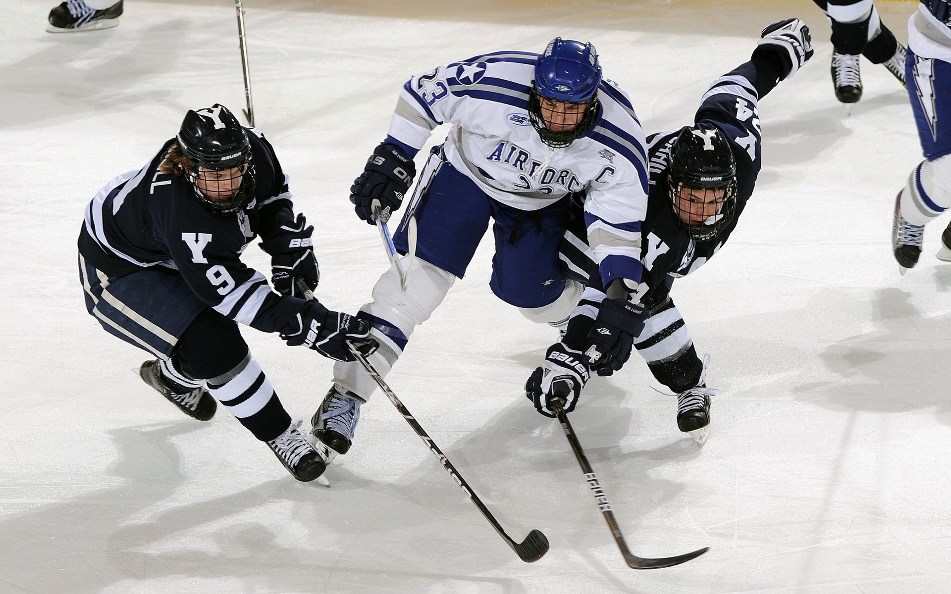 从伤病到重生，运动员康复之路的艰辛与荣耀
